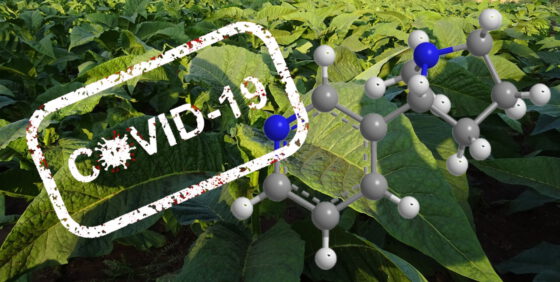 Covid-19-Nikotin-560x282.jpg